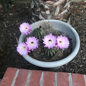 Meet your Posher, Cristina